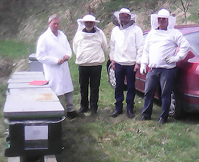 Frühjahrsrevision am Bienenstand