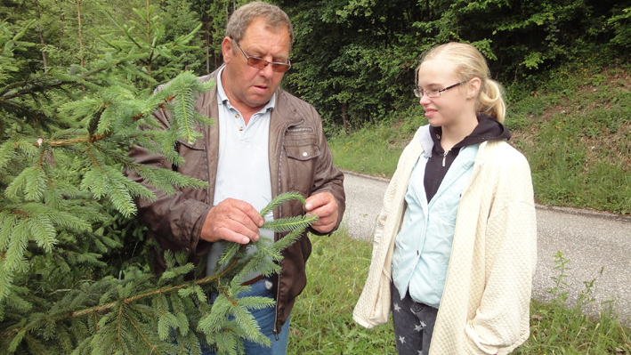 Waldtrachtbeobachtung Bild 8